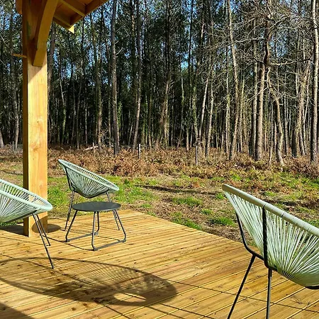 Timber Among Pines Near Mimizan Beaches *